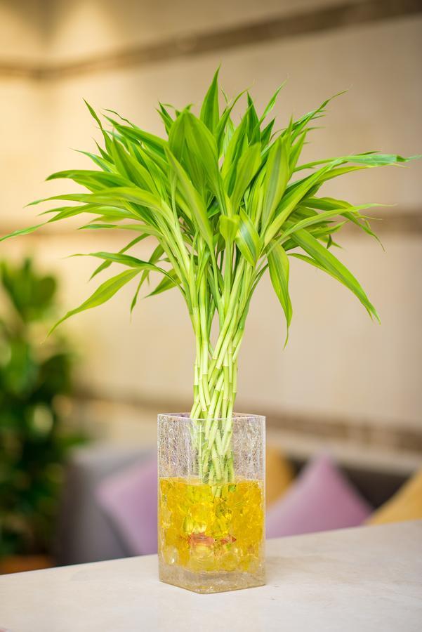Anast Hotel Medina Ngoại thất bức ảnh